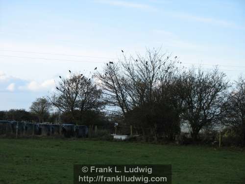 Around Lough Arrow